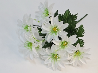 Б-т Гербер ромашка атлас 