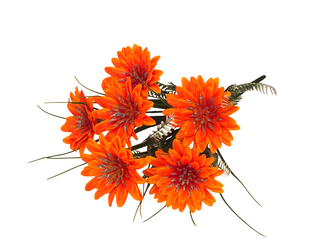 Б-т Герберы атласной с серебром 