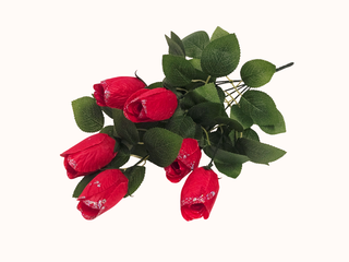 Б-т Тюльпанов с серебром 