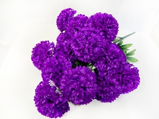 Б-т Гвоздика атласная 