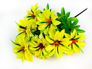 Б-т Георгин атласный 