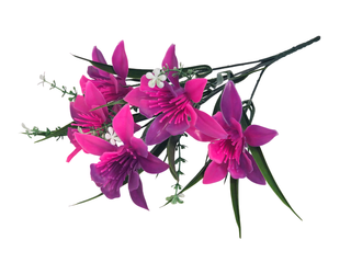 Б-т Орхидей пластиковых