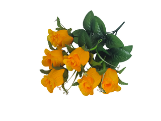 Б-т  Бутончик 