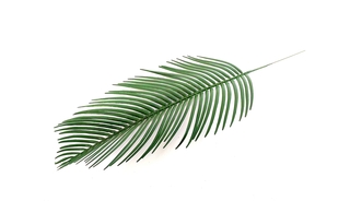 Лист пальмы зелёный 45см  №4018