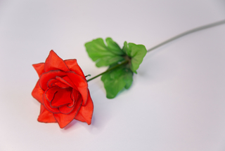 Одиночная роза Мона 40см (20шт) №6578