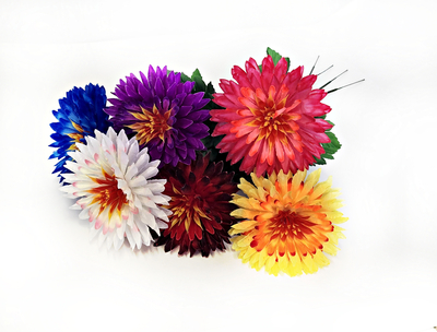 Одиночная астра 