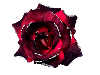 Роза бархатная крупная тонир с серебром 