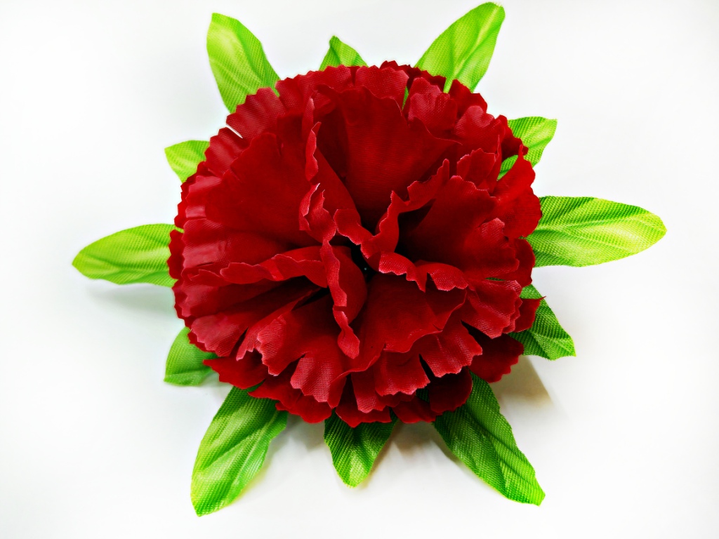 Астра на листе 