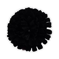 Гвоздика бархатная крупн чёрная 