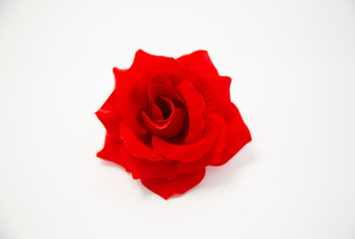 Роза бархатная средняя Мария 12см (150шт) №5755