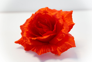 Роза атласная  Агнета 15см №5955