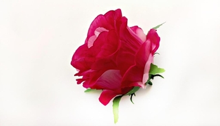 Бутон розы с листом 