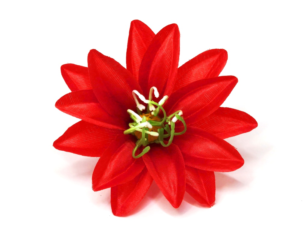 Георгин атласный махровый 