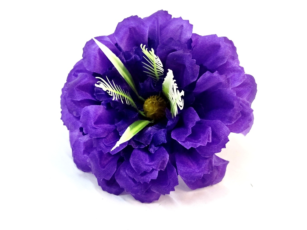 Циния атласная 