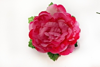 Пион на листе 