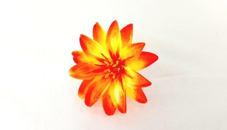 Мак атласный 