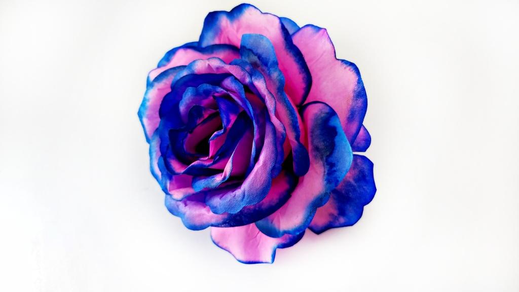 Бутон розы раскрытый 