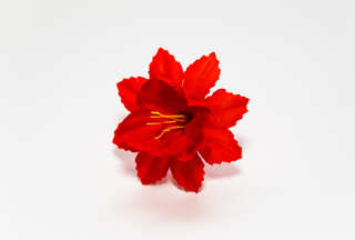 Клематис 2-ой Елисей 9,5см  №50028