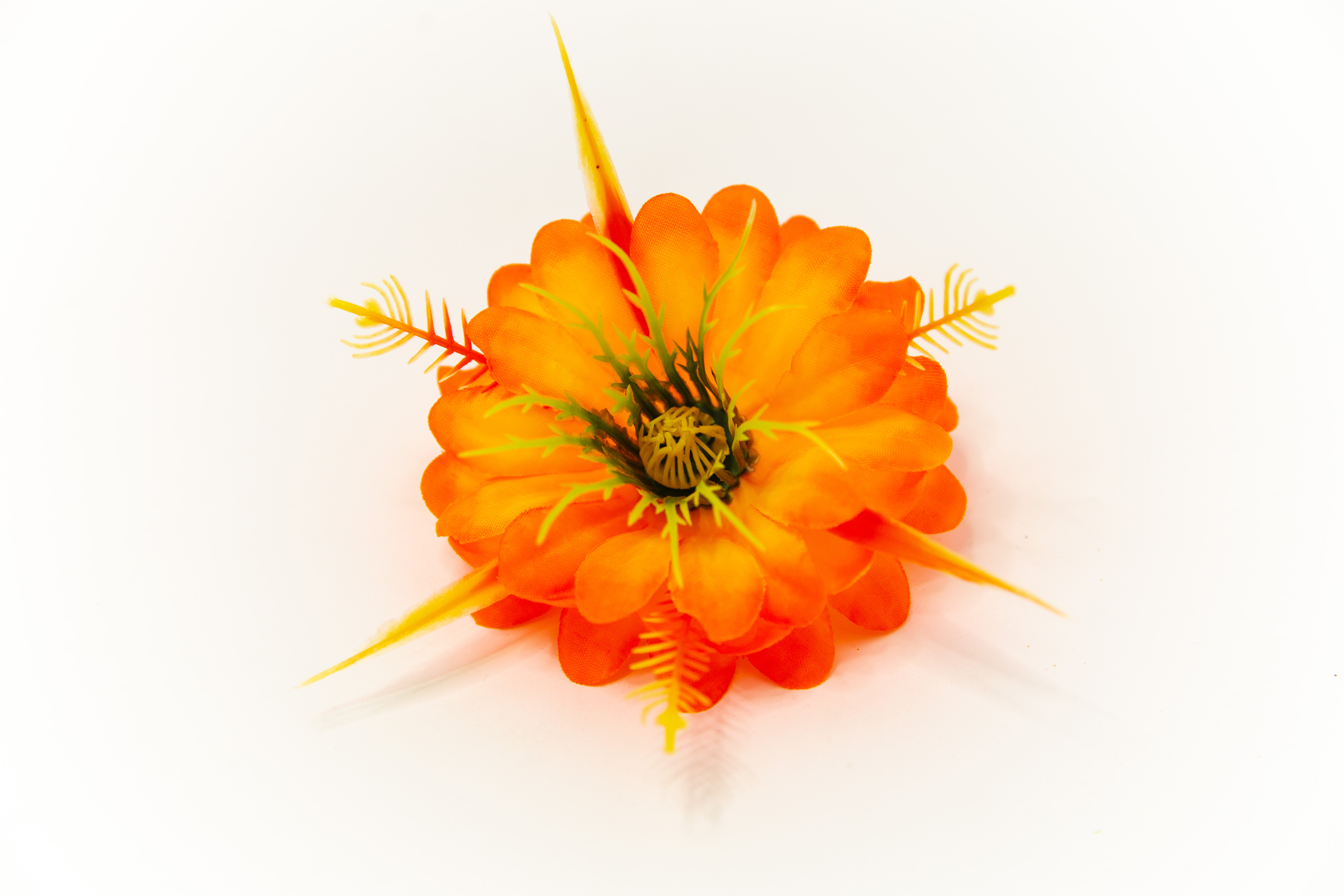 Лотос махровый  Лайн 10 см  №5785