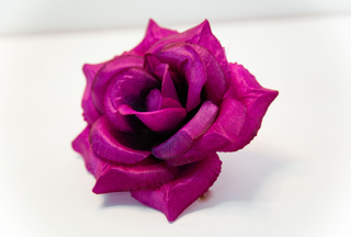 Роза атласная Оливия 15см №5876