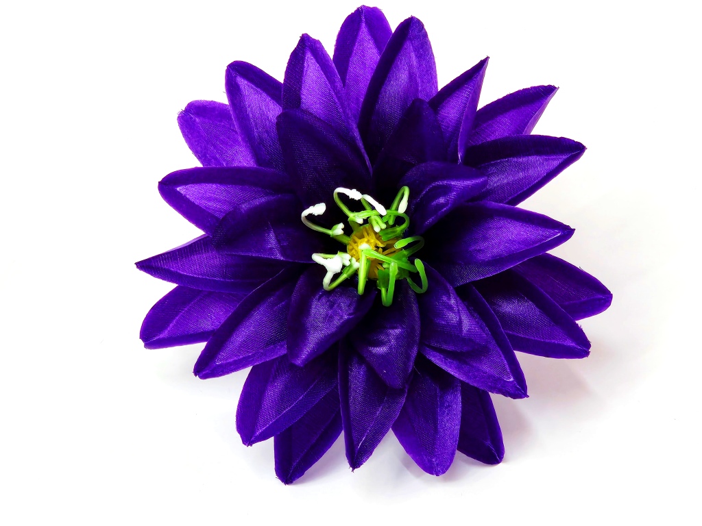 Геогин атласный крупный 