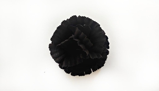 Гвоздика бархатная черная 11см №5034