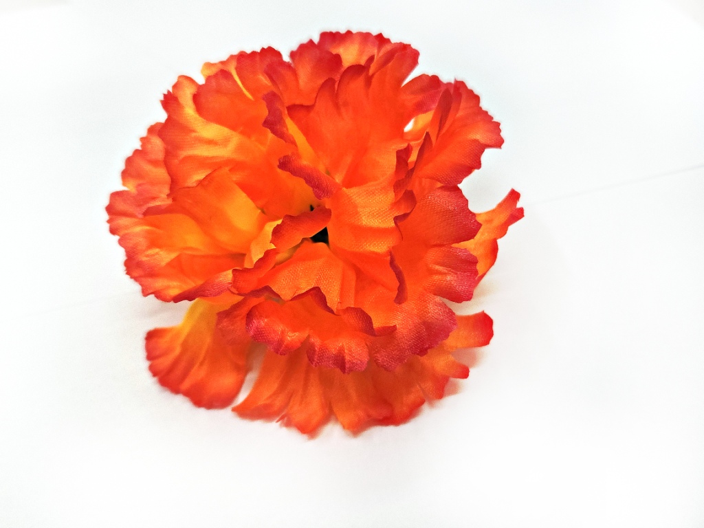 51072_1_.jpg
