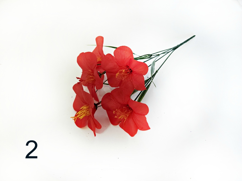 2965_2_.jpg