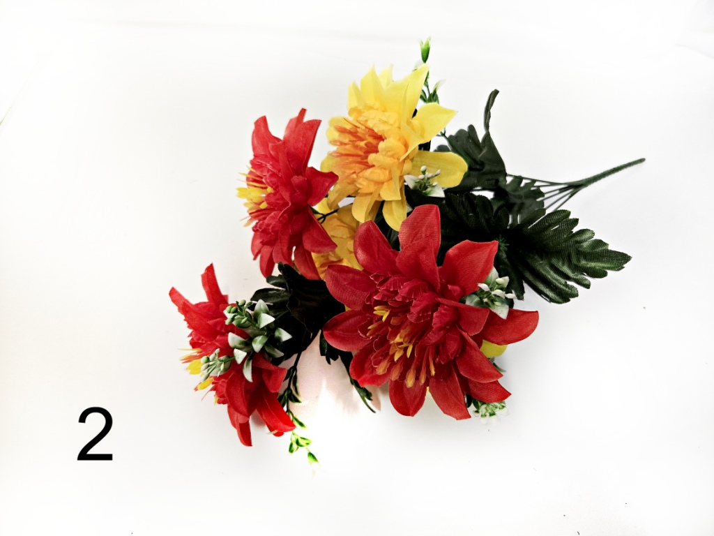 2964_2_.jpg