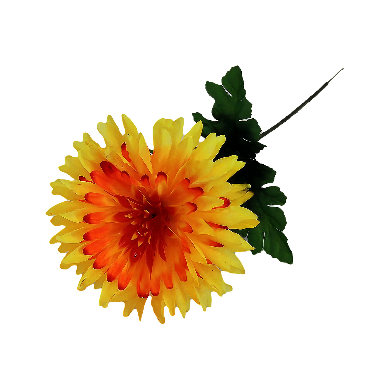 6704_1_.jpg