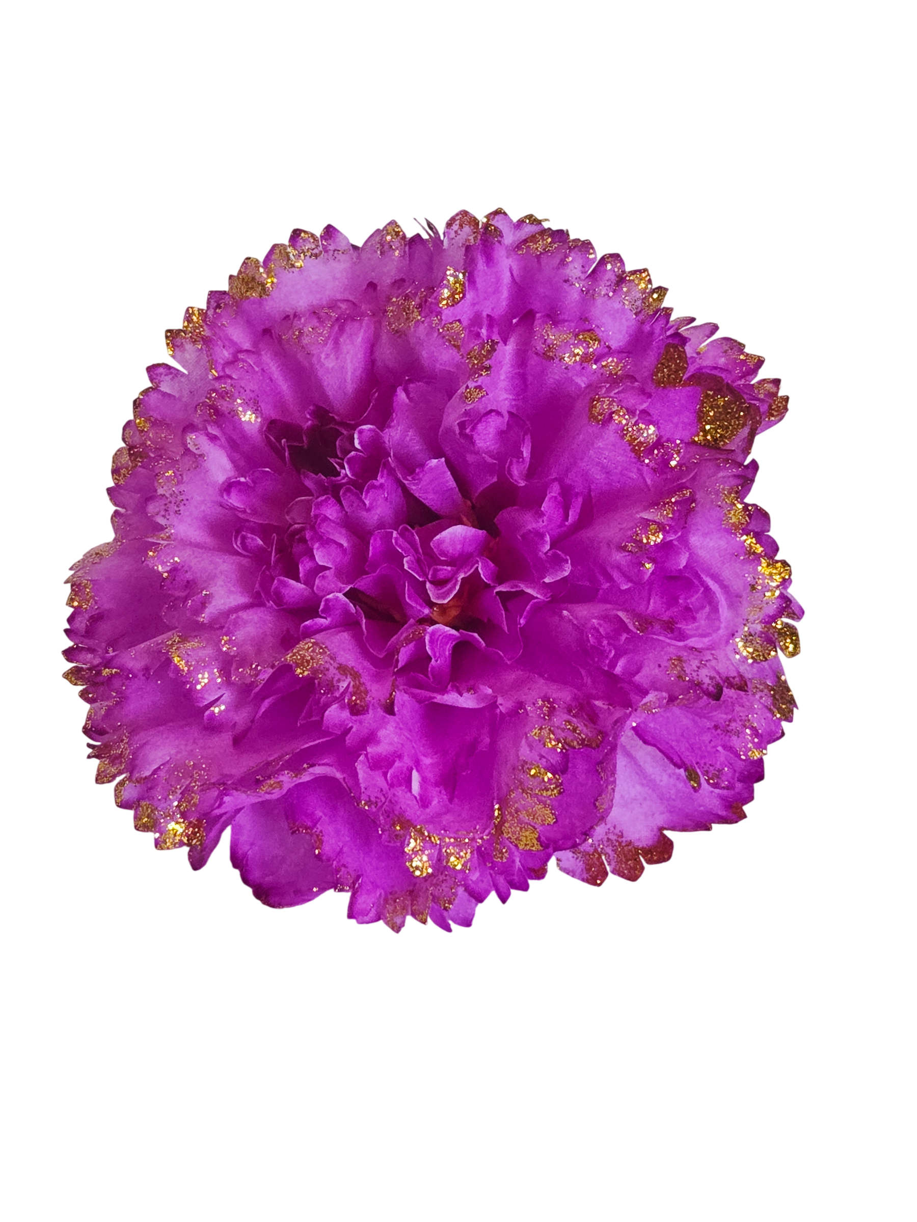 20260814_104448_Photoroom.png