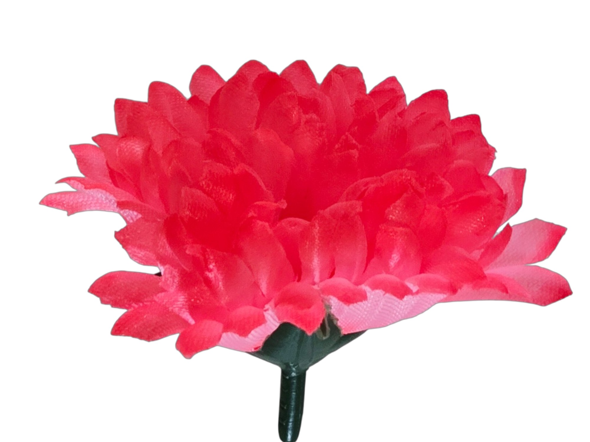 52029_1_.jpg